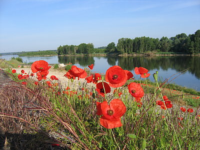 orleans tours a velo