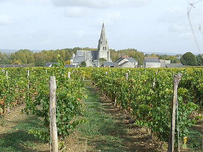 orleans tours a velo